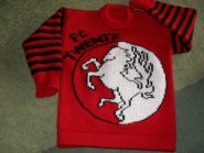 foto Logo FC Twente