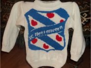 foto FC Heerenveen