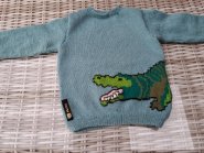 foto Krokodil (voor- en achterpand)