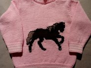 foto paard