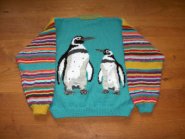 foto Pinguin 3