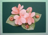 3D roze bloemen, voor Albertje, verjaardag 3D roze bloemen, voor Albertje, verjaardag