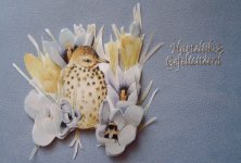 3D jonge vogel, voor Lisette, 49e verjaardag 3D jonge vogel, voor Lisette, 49e verjaardag