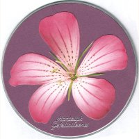 cd-kaart, voor Monique, 48e verjaardag cd-kaart, voor Monique, 48e verjaardag