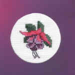 fuchsia, voor mijn moeder, 81e verjaardag fuchsia, voor mijn moeder, 81e verjaardag