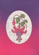 fuchsia, voor Jeanne Stadegaard, 81e verjaardag fuchsia, voor Jeanne Stadegaard, 81e verjaardag