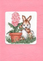 haasje met hyacinth haasje met hyacinth