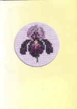 iris, voor Ekie, verjaardag (2004) iris, voor Ekie, verjaardag (2004)