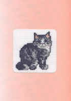 poes, voor Iris, 11e verjaardag