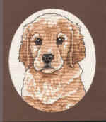 puppy, voor Johanna puppy, voor Johanna