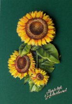 zonnebloemen, voor Nine, 54e verjaardag zonnebloemen, voor Nine, 54e verjaardag